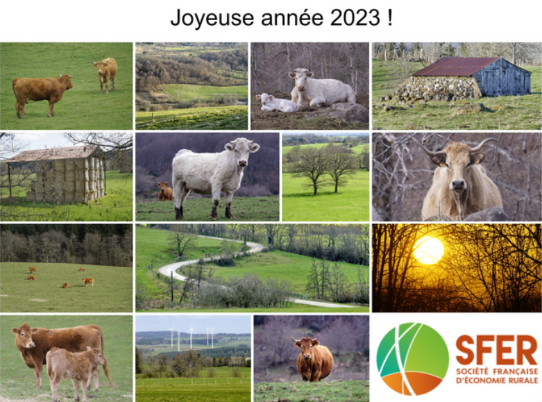 2023_sfer